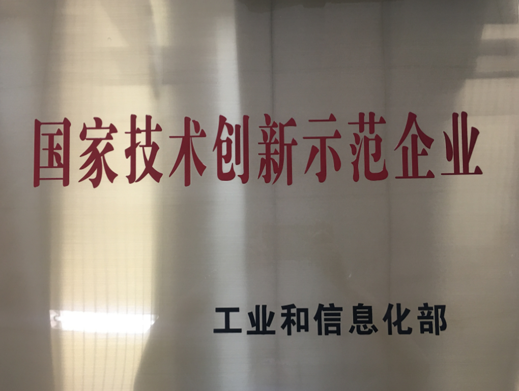 國家技術創(chuàng)新示范企業(yè)